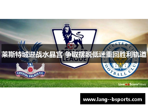 莱斯特城迎战水晶宫 争取摆脱低迷重回胜利轨道 莱斯特城迎战水晶宫 争取摆脱低迷重回胜利轨道
