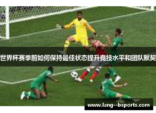 世界杯赛季前如何保持最佳状态提升竞技水平和团队默契